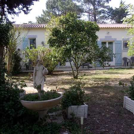 Bed and Breakfast Mas Des Pins Saint-Cyprien  Zewnętrze zdjęcie